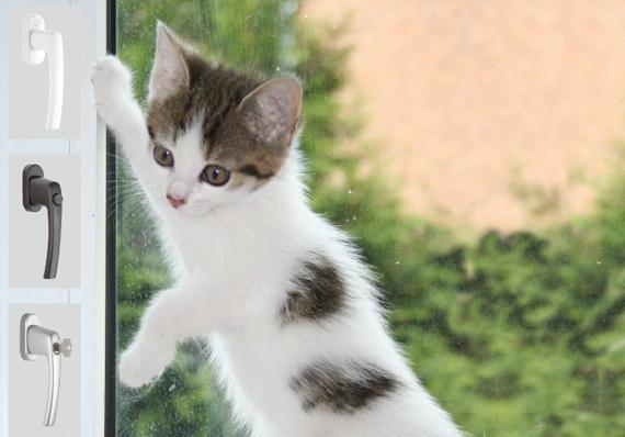 fenster3